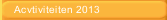 Acvtiviteiten 2013